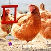 image:imageSumind 2 Pieces Chicken Mirror Toys Hanging Swing Mirror with Bell Wooden Pecking Toy and 4 Pieces Beak Grinding Molar Stones for Hens Birds ParrotsRedBlueRed Blue