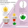 image:imageSumind 2 Pieces Chicken Mirror Toys Hanging Swing Mirror with Bell Wooden Pecking Toy and 4 Pieces Beak Grinding Molar Stones for Hens Birds ParrotsRedBlueRose Red Yellow