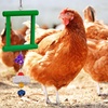 image:imageSumind 2 Pieces Chicken Mirror Toys Hanging Swing Mirror with Bell Wooden Pecking Toy and 4 Pieces Beak Grinding Molar Stones for Hens Birds ParrotsRedBlueRed green