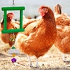 image:imageSumind 2 Pieces Chicken Mirror Toys Hanging Swing Mirror with Bell Wooden Pecking Toy and 4 Pieces Beak Grinding Molar Stones for Hens Birds ParrotsRedBlueBlue Green