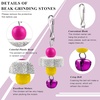 image:imageSumind 2 Pieces Chicken Mirror Toys Hanging Swing Mirror with Bell Wooden Pecking Toy and 4 Pieces Beak Grinding Molar Stones for Hens Birds ParrotsRedBlueRed green