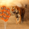 image:imageSumind 40 Pieces Tiger Print Stripes Balloons 12 Inch Jungle Animal Theme Safari Balloons for Zoo Jungle Party Supplies Safari Birthday Decoration