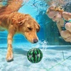 image:imageSumind Swimming Pool Gaming Ball 9 Inch Underwater Ball with Hose Adapter for Under Water Passing Dribbling Diving for AdultGradient StyleGreen and Black Style