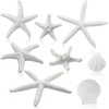 image:imageSumind 8 Pcs White Starfish and Scallop Shells Decor White Aquarium 14 Inch Mixed Fish Tank Decor Resin Natural Beach Sea Shells Decorations for DIY Crafts Wedding Party Beach Home
