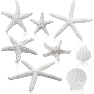image:imageSumind 8 Pcs White Starfish and Scallop Shells Decor White Aquarium 14 Inch Mixed Fish Tank Decor Resin Natural Beach Sea Shells Decorations for DIY Crafts Wedding Party Beach Home