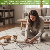 image:imageSumind 1 Set 10 Set Sublimation Puzzle A580 Rectangle10