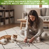 image:imageSumind 1 Set 10 Set Sublimation Puzzle A580 Rectangle10