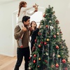 image:imageSumind 14000 Pcs Christmas Tree Icicles Tinsel Decoration Red and GreenSilver